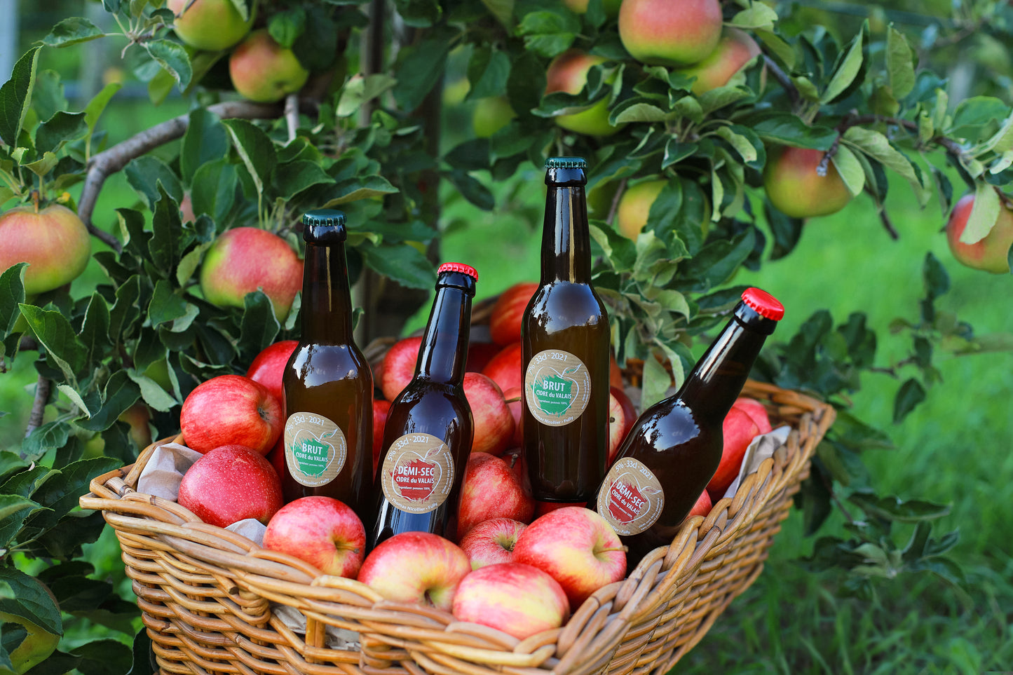 Cidrerie du Valais – Cidre Demi-Sec Artisanal 33cl | 100% Naturel, Sans Sulfites