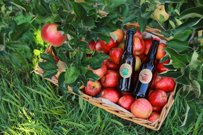 Cidrerie du Valais – Cidre Brut Artisan 33cl | 100% Naturel, Sans Sulfites