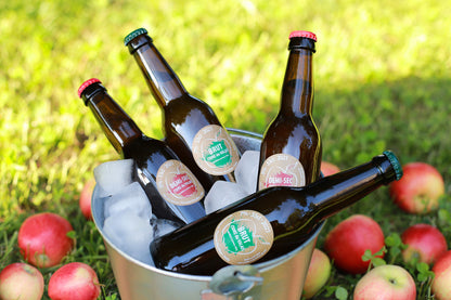 Cidrerie du Valais – Cidre Demi-Sec Artisanal 33cl | 100% Naturel, Sans Sulfites
