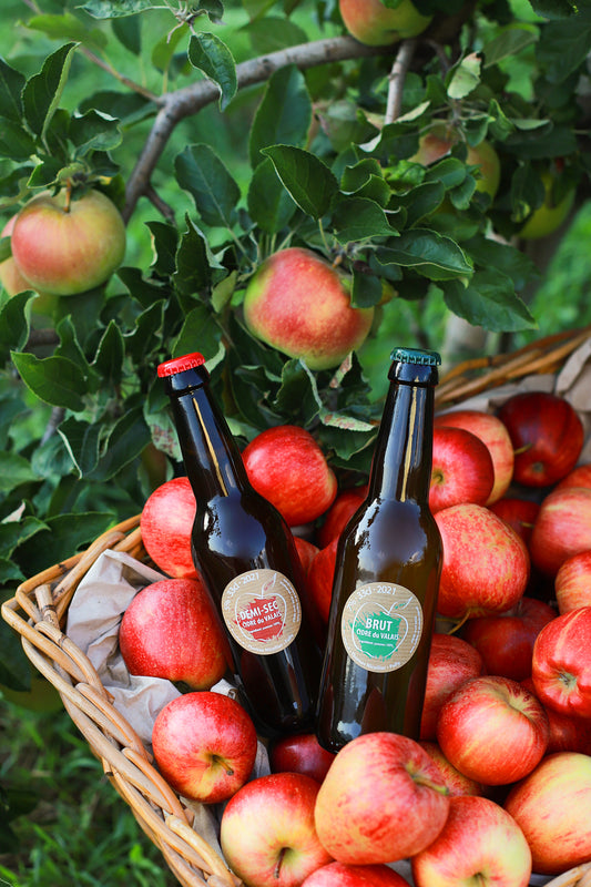 Discovery Pack – 2 Bottles of Artisan Cider, Brut & Semi-Dry (1 x 33 cl of each)