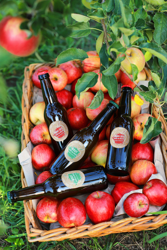 Tasting box of 4 bottles – Artisanal Cider Brut & Semi-Dry